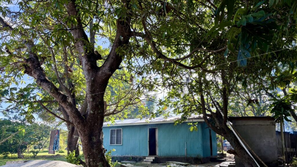 のどかなグヌ村の様子